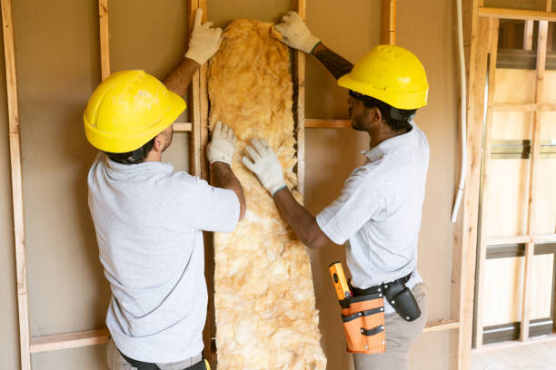 Best Radiant Barrier Insulation  in South Holland, IL