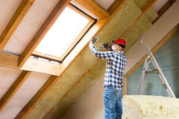 Eco-Friendly or Green Insulation Solutions in South Holland, IL